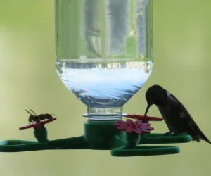 Hummingbird Feeder With Perch 3D Models