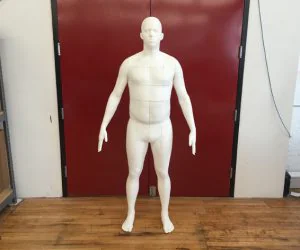 Lifesize Body Model 3D Models