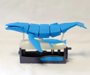 Save The Whales Kinetic Whales 3D Models
