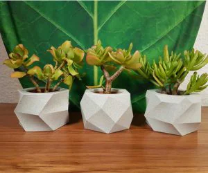 Blocky Planter Flower Pot 3D Models