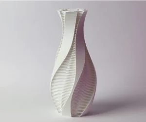 Twisted Vase With Strands 3D Models