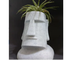 Moai Plant 3D Models