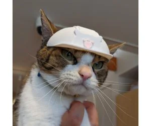 A Hard Hat For Cat 3D Models