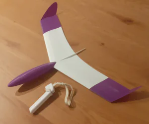 Stinger Free Flight Glider 3D Models