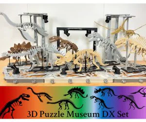 3Dino Puzzle Museum Dx Set 3D Models