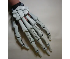 Skeleton Skin For My Articulated Finger Extensions 3D Models