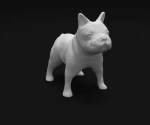 French Bulldog 3D Models
