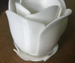Rose Flower Pot 3D Models