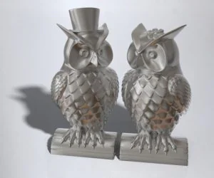 His And Her Owls 3D Models