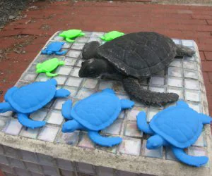 Garden Turtle 3D Models