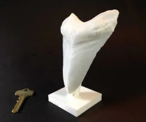 Giant Prehistoric Shark Tooth 3D Models