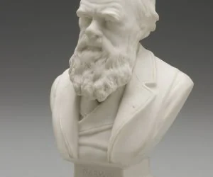 Bust Of Charles Darwin C.1899 3D Models