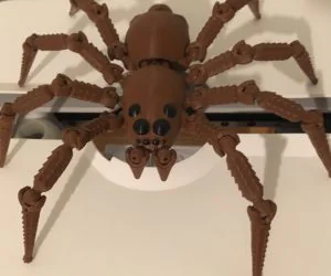 Wolf Spider 3D Models