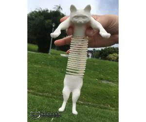 Classic Long Cat 3D Models