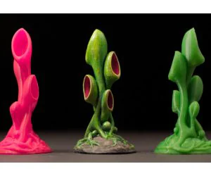 Tabletop Plant Alien Vegetation 01 3D Models