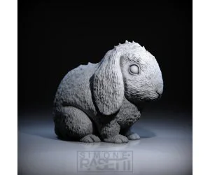 Rabbit 3D Models