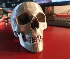 Human Skull 3D Models