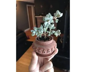 P15 Vented And Drained Succulent Planter 3D Models