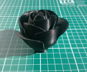 Black Rose 3D Models