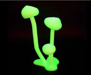 Glowing Mushrooms 3D Models