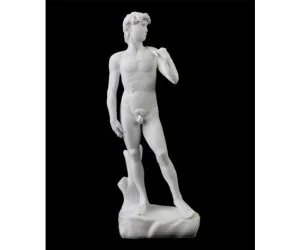 Michelangelo’S David In The Accademia Di Belle Arti Of Florence Italy 3D Models