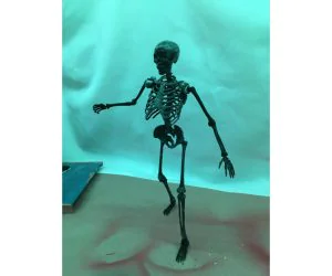 Posable Skeleton Mr Bones Remix 3D Models