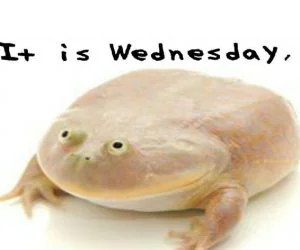 It Is Wednesday My Dudes Frog Meme 3D Models