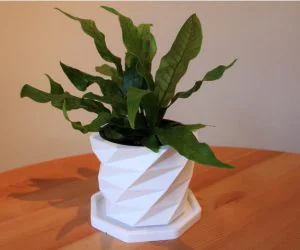 Low Poly Plant Pot With Drainage Tray 3D Models