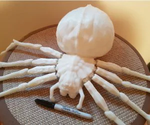Giant Poseable Halloween Spider W Split Abdomen 3D Models