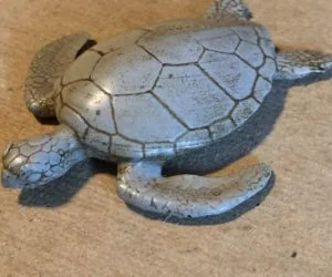 Sea Turtle 3D Models