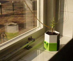 Planter With Reservoir 3D Models