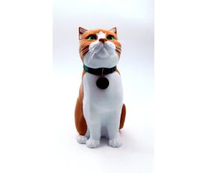 Schrodinky Blank Cat Collar Medal 3D Models