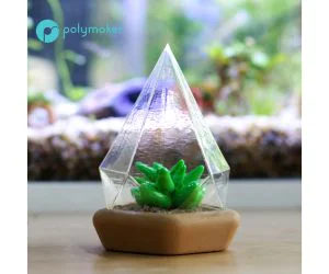 Succulent Dome 3D Models