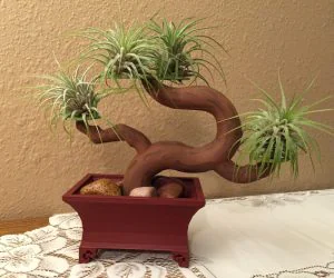Bonsai Tree And Pot 3D Models