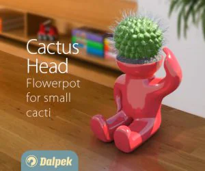 Cactus Head 3D Models