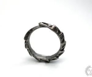 Carapace Ring 3D Models