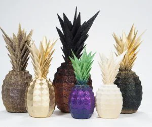The Pineapple 3D Models