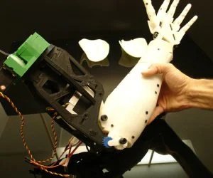 Bicep For Robot Inmoov 3D Models