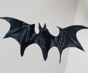 Vampire Bat 3D Models