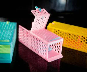 Friendly Mousetrap Fully Printable 3D Models