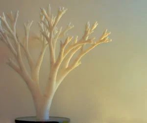 Tree Kit 3D Models
