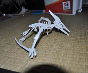 Pterodactilus 3D Puzzle Dino 3D Models