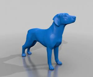 Dog 3D Models