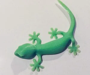 Gecko Deskpal 3D Models