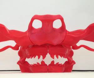 Hammerhead Skull 3D Models