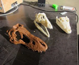 Tarbosaurus Skull Sliced For Printing 3D Models