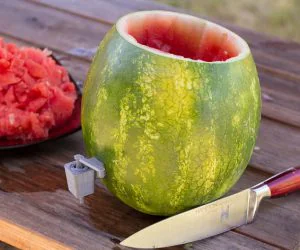 Household Hackers Watermelon Dispenser 3D Models