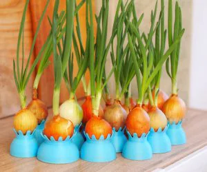 Onion Pots 3D Models