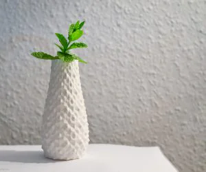 Spike Vase 3D Models