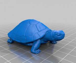 ??Turtle?3D??? 3D Models